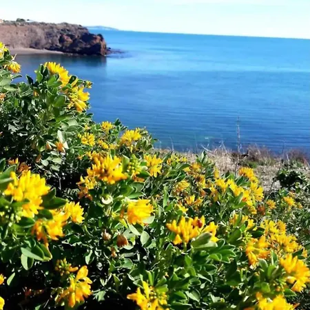 Cap D'agde Mediterranee 公寓